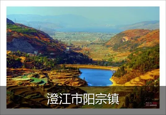 澄江市阳宗镇